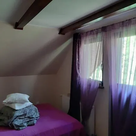 Domek W Borach Tucholskich Tatil Evi Wycinki