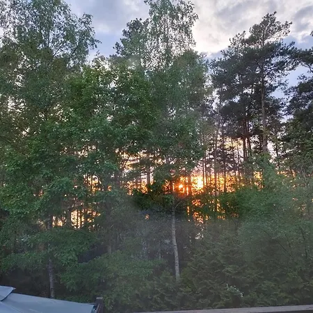 Domek W Borach Tucholskich Wycinki