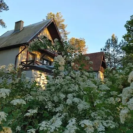 Tatil Evi Domek W Borach Tucholskich