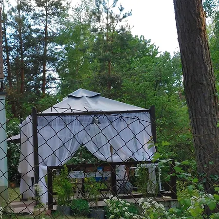 Domek W Borach Tucholskich Tatil Evi Wycinki