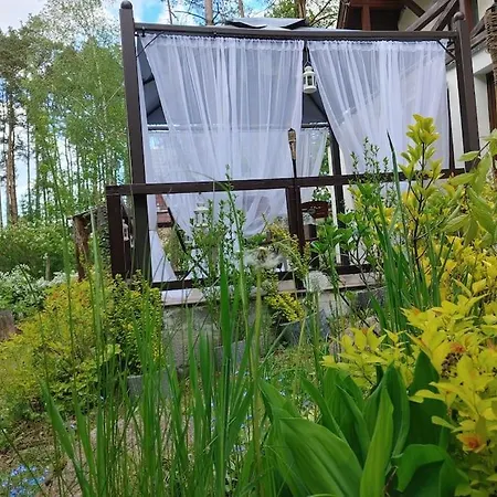 Tatil Evi Domek W Borach Tucholskich Wycinki