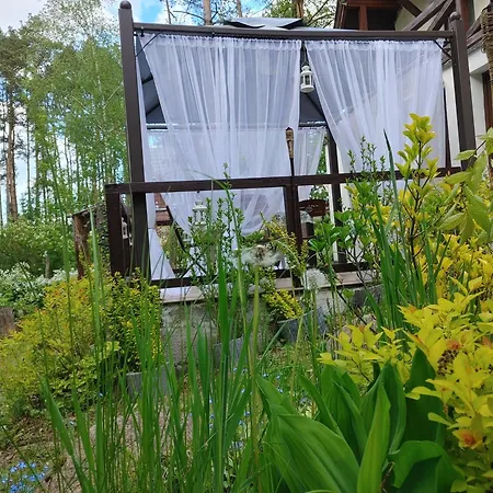 Tatil Evi Domek W Borach Tucholskich