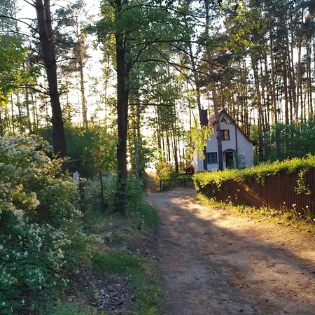 Domek W Borach Tucholskich Tatil Evi Wycinki