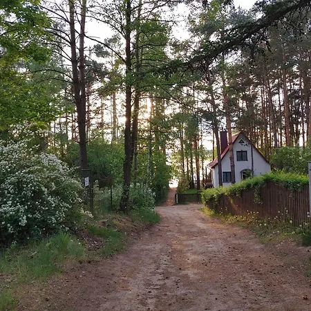 Domek W Borach Tucholskich Tatil Evi Wycinki