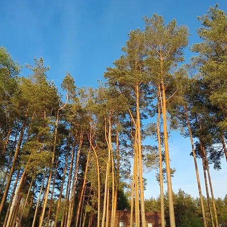 Domek W Borach Tucholskich Wycinki