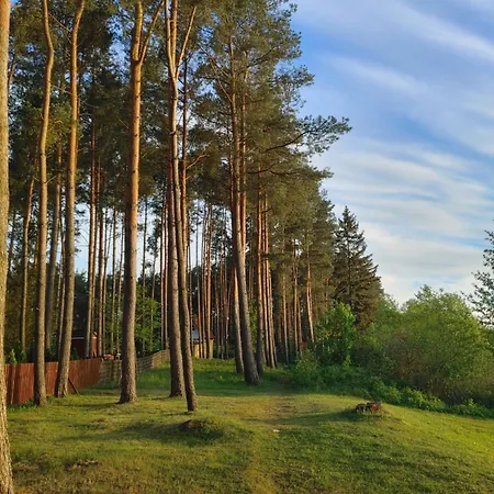 Tatil Evi Domek W Borach Tucholskich *